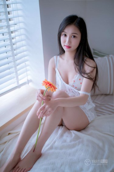 女仆激情视频在线观看